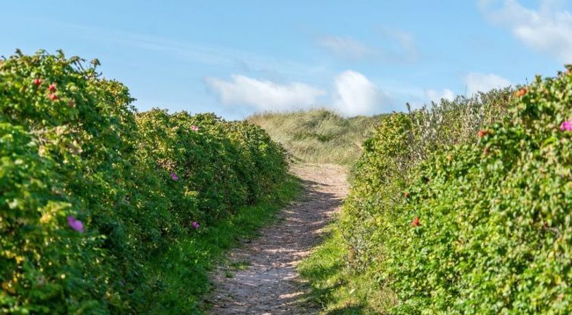 Photo of "Anne" - 100m from the sea