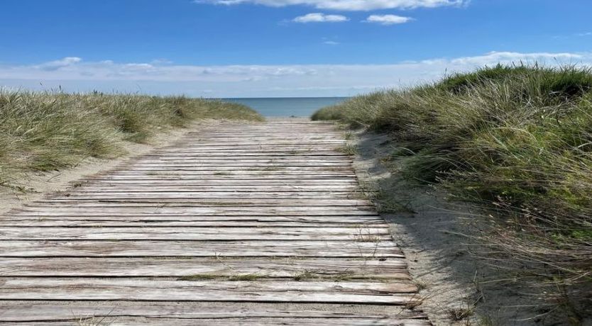 Photo of "Poul" - 100m from the sea