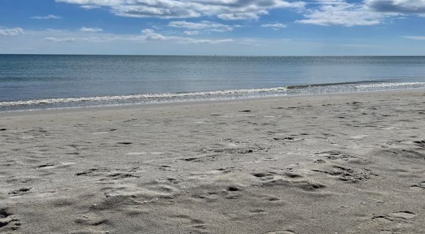 Photo of "Poul" - 100m from the sea