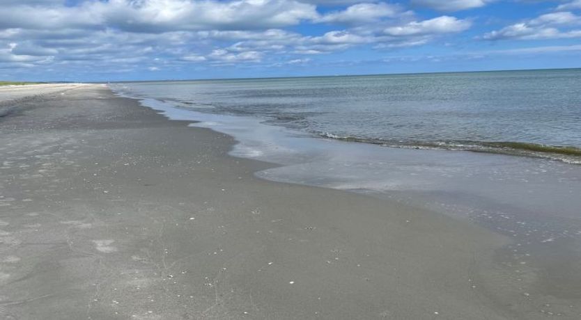 Photo of "Poul" - 100m from the sea