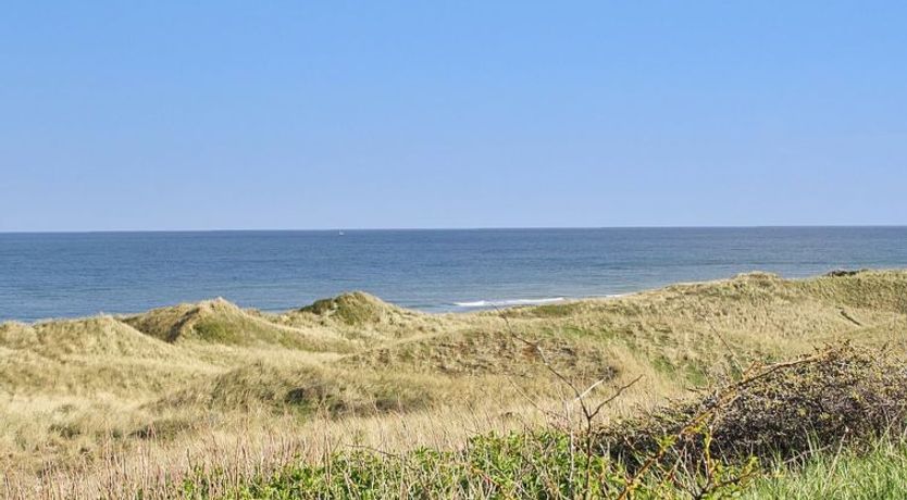 Photo of "Mafalda" - 260m from the sea