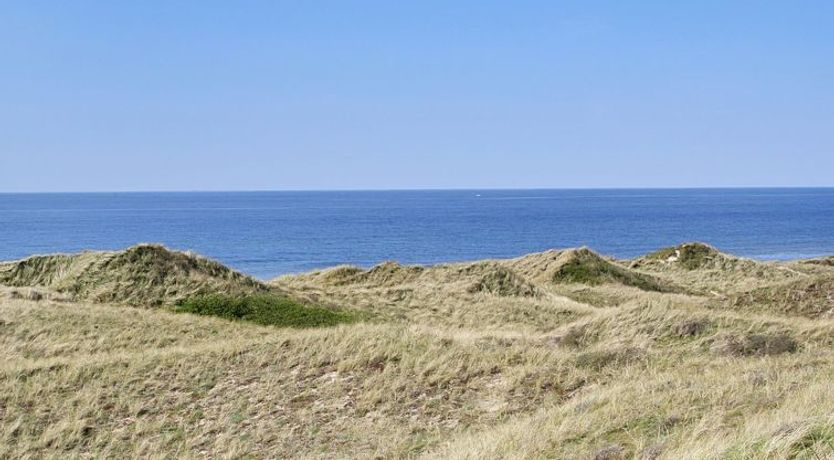 Photo of "Mafalda" - 260m from the sea