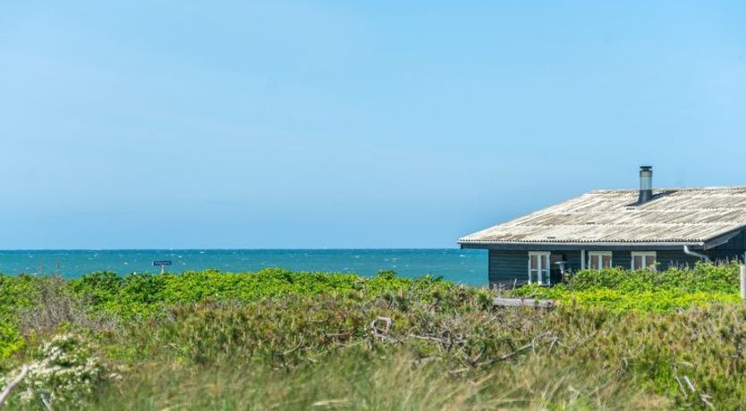 Photo of "Hubert" - 150m from the sea