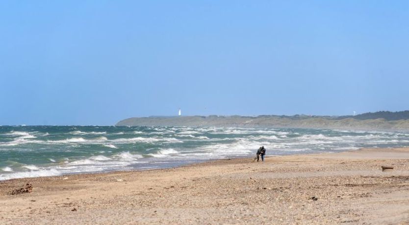 Photo of "Randulf" - 450m from the sea