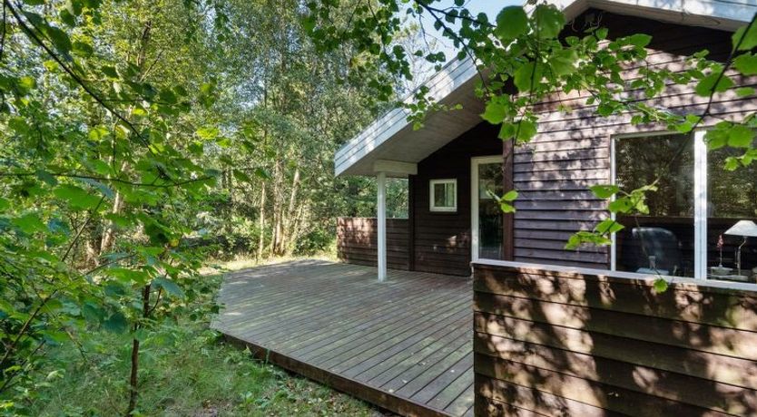 Photo of "Jussi" - 3.5km from the sea