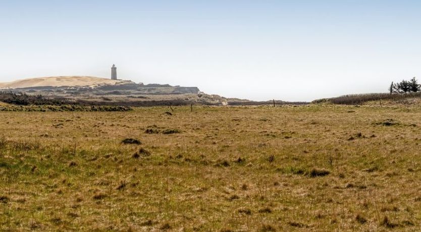 Photo of "Hedy" - 150m from the sea