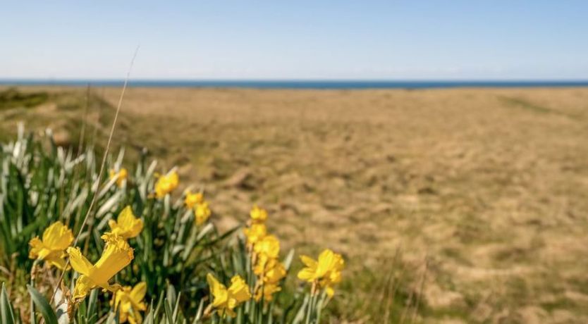 Photo of "Hedy" - 150m from the sea