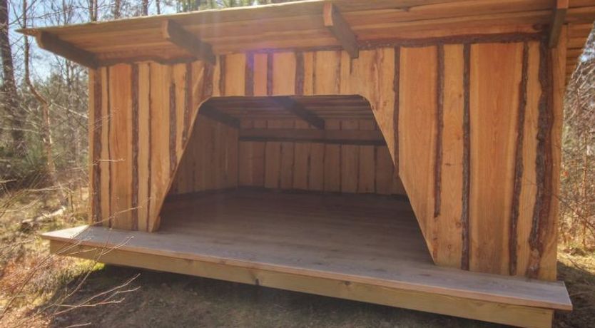 Photo of "Eliz" - 800m from the sea