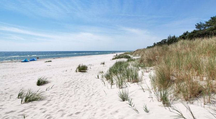 Photo of "Eliz" - 800m from the sea