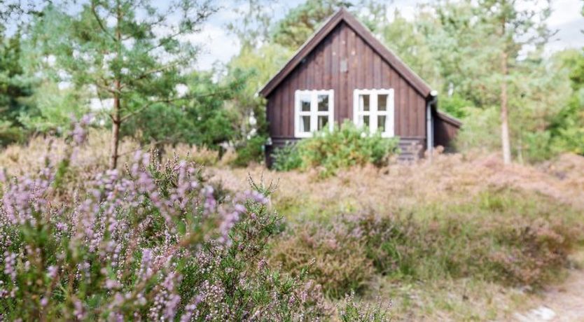 Photo of "Læff" - 50m from the sea