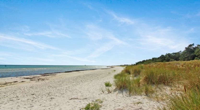 Photo of "Læff" - 50m from the sea