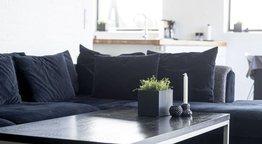 Photo of "Volfgang" - 250m from the sea