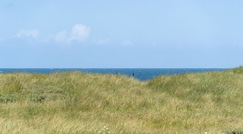 Photo of "Dila" - 150m from the sea