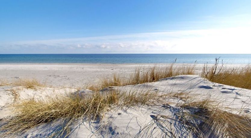 Photo of "Franzine" - 200m from the sea