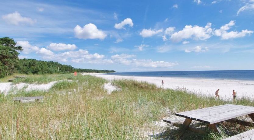 Photo of "Franzine" - 200m from the sea