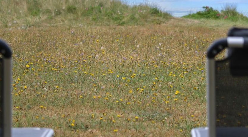 Photo of "Berndt" - 50m from the sea