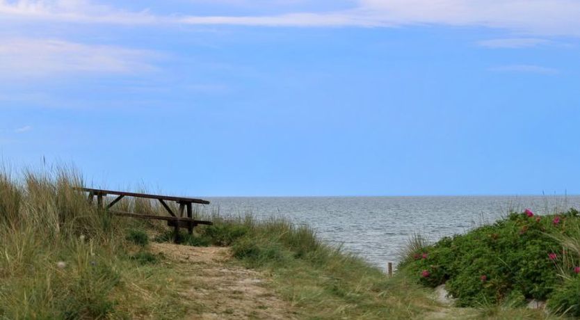 Photo of "Berndt" - 50m from the sea