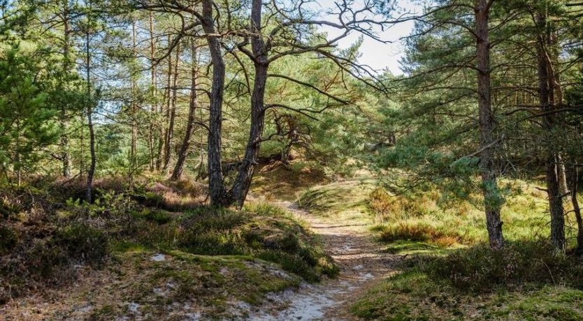 Photo of "Elza" - 800m from the sea