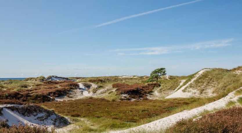 Photo of "Elza" - 800m from the sea