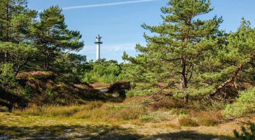 Photo of "Elza" - 800m from the sea