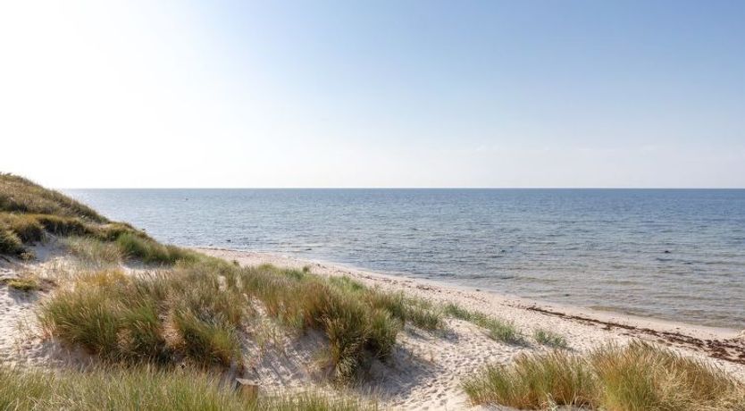 Photo of "Chenoa" - 200m from the sea