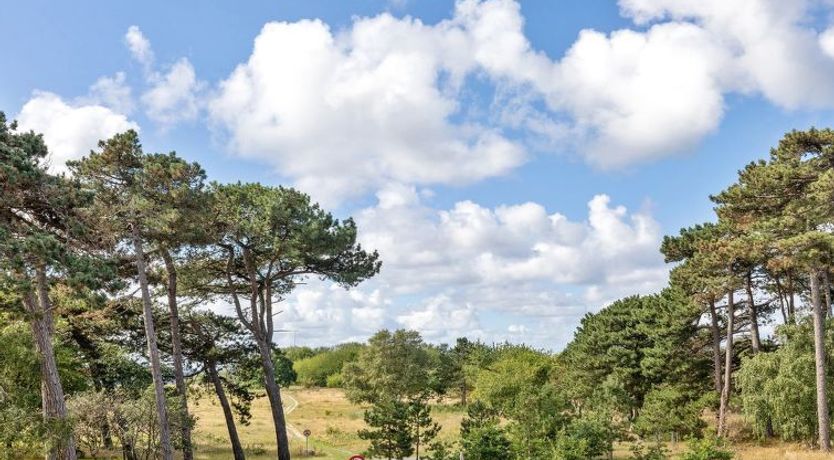 Photo of "Detlef" - 200m from the sea