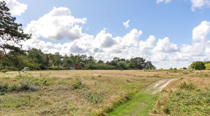 Photo of "Detlef" - 200m from the sea