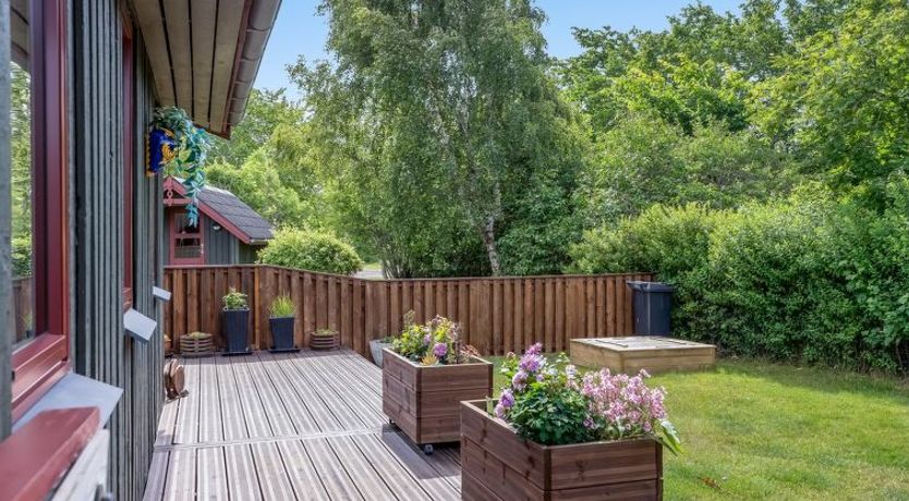 Photo of "Aima" - 400m from the sea