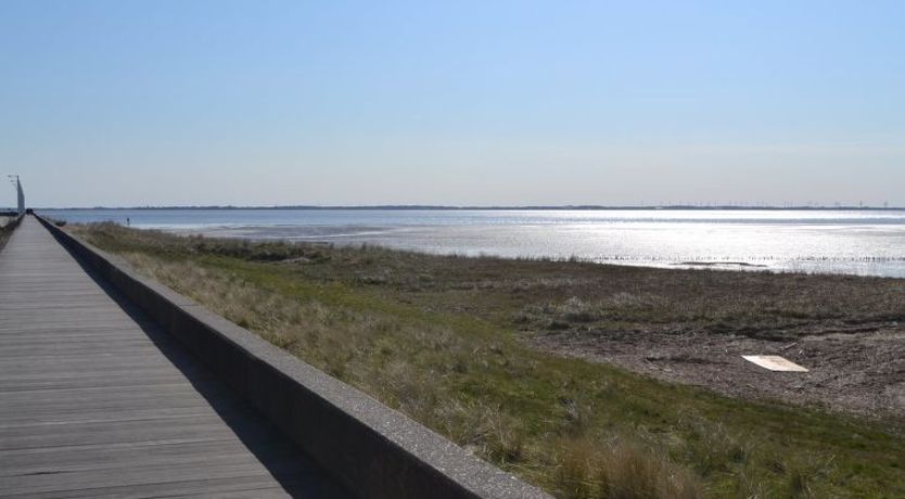 Photo of "Leto" - 2km from the sea