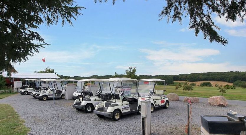 Photo of "Carlie" - 2.8km from the sea