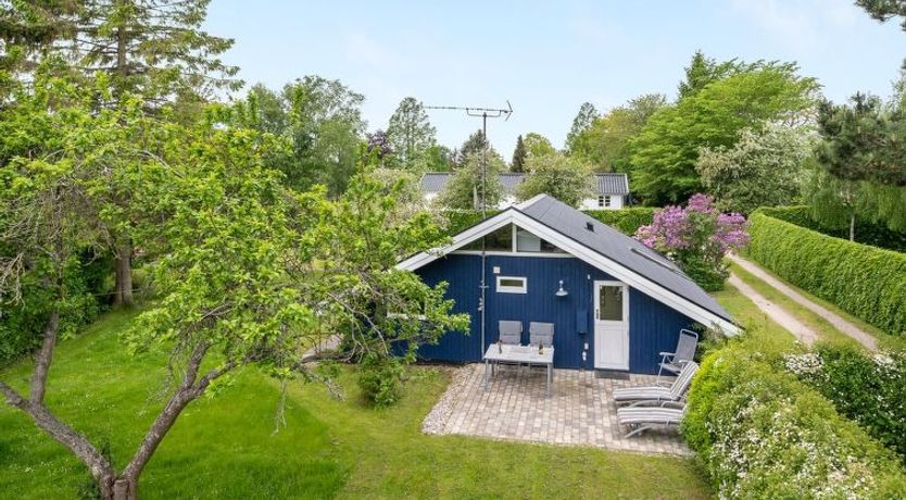 Photo of "Begitta" - 350m from the sea