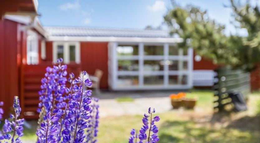 Photo of "Winald" - 500m from the sea