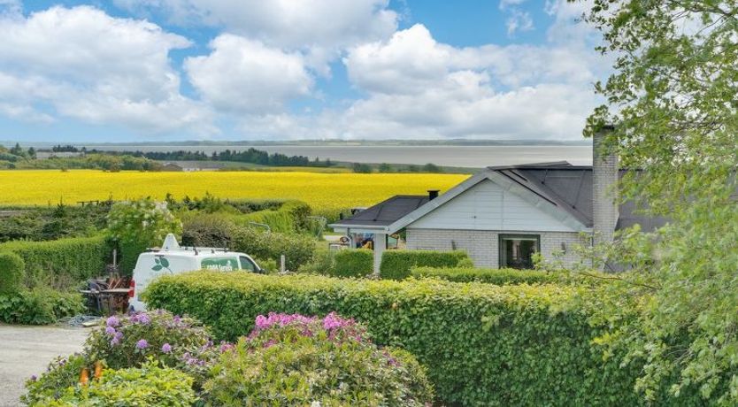 Photo of "Tamer" - 500m to the fjord