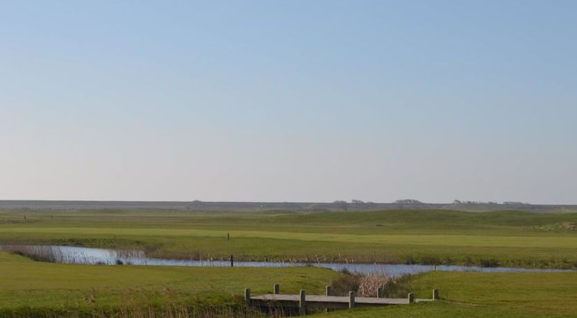 Photo of "Aappo" - 2.3km from the sea