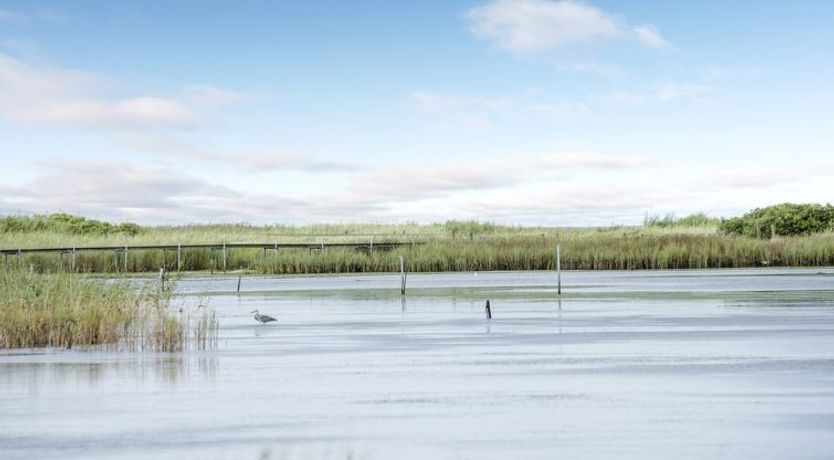 Photo of "Stamen" - 200m from the sea