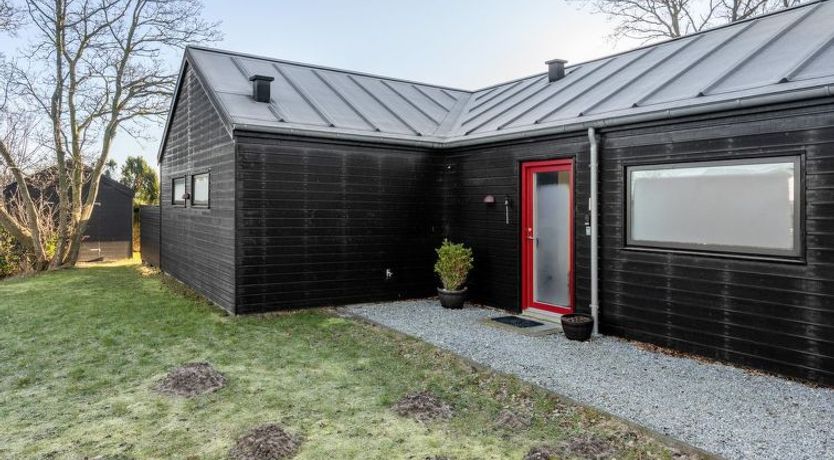 Photo of "Timmi" - 100m from the sea