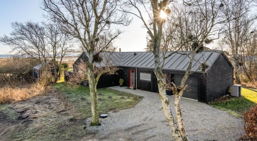 Photo of "Timmi" - 100m from the sea