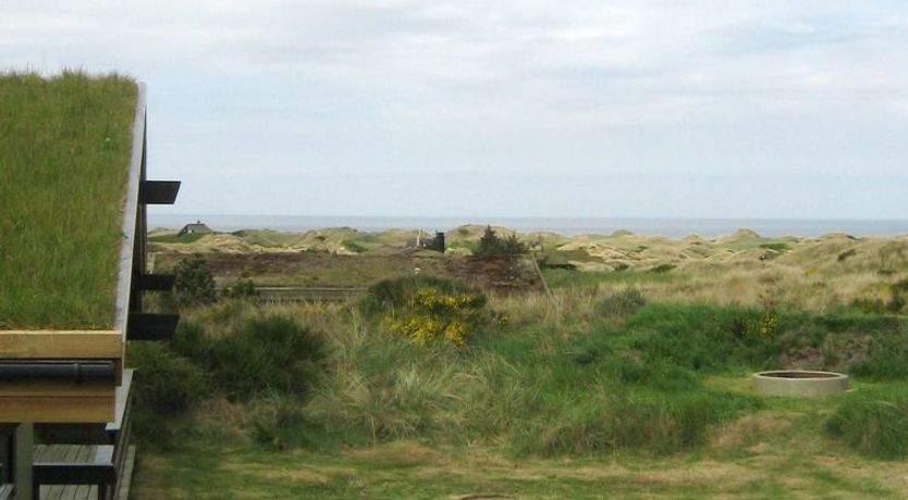 Photo of "Maini" - 600m from the sea