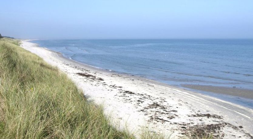 Photo of "Jonce" - 400m from the sea