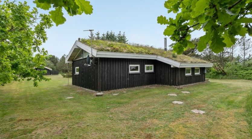 Photo of "Evan" - 1.3km from the sea