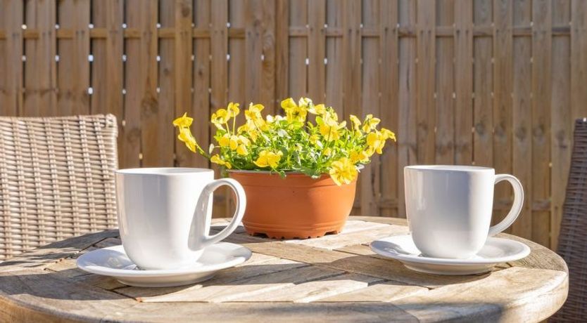 Photo of "Rudi" - 450m from the sea