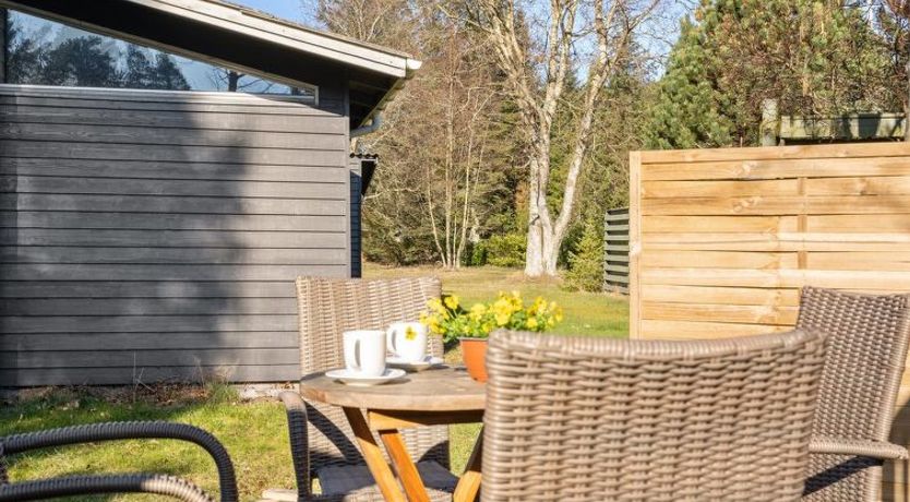 Photo of "Rudi" - 450m from the sea