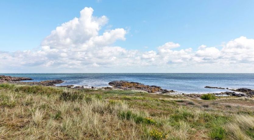 Photo of "Alea" - 200m from the sea