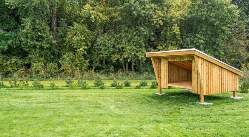 Photo of "Femke" - 250m to the fjord