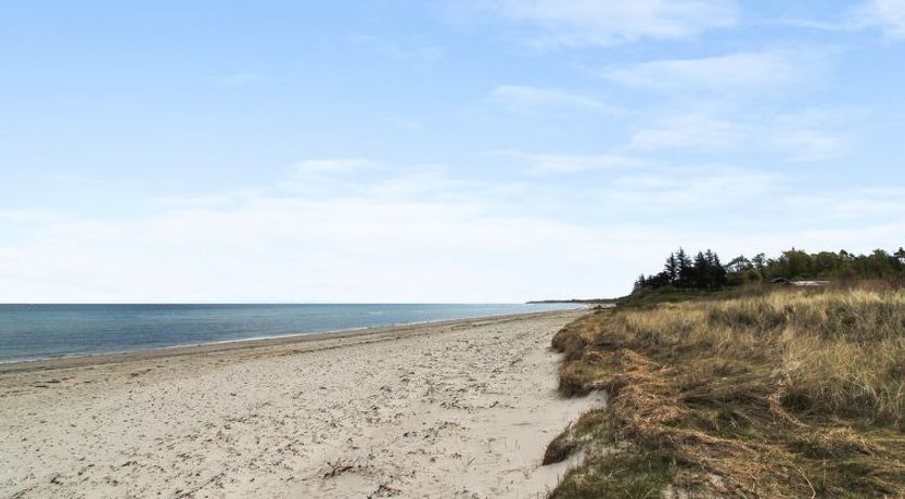 Photo of "Kiowa" - 100m from the sea