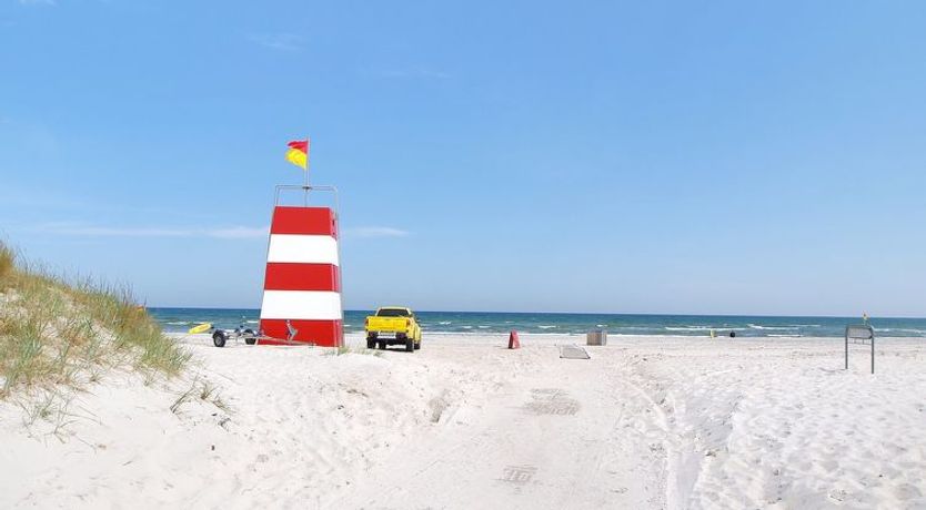 Photo of "Elize" - 250m from the sea