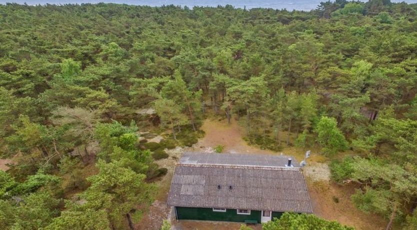 Photo of "Michel" - 300m from the sea