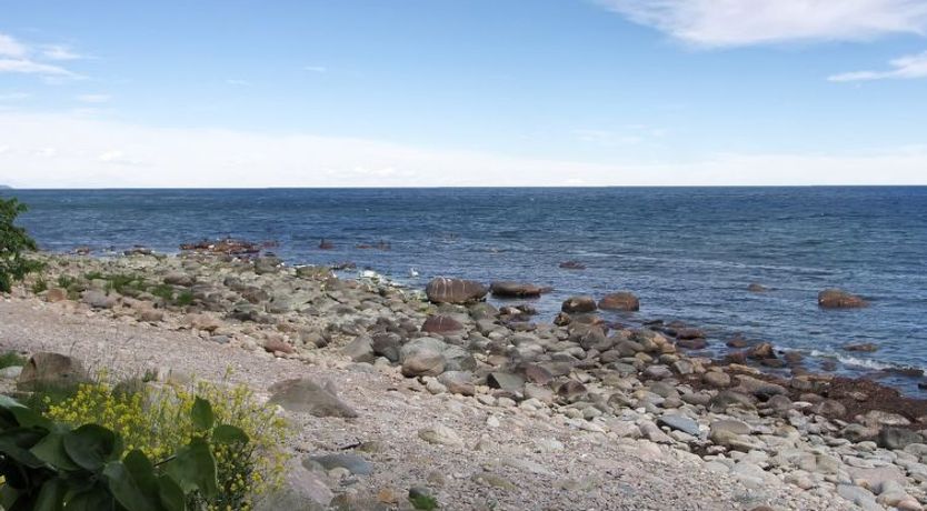 Photo of "Alfred" - 25m from the sea