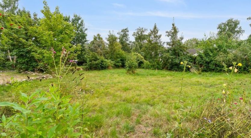 Photo of "Sami" - 200m from the sea