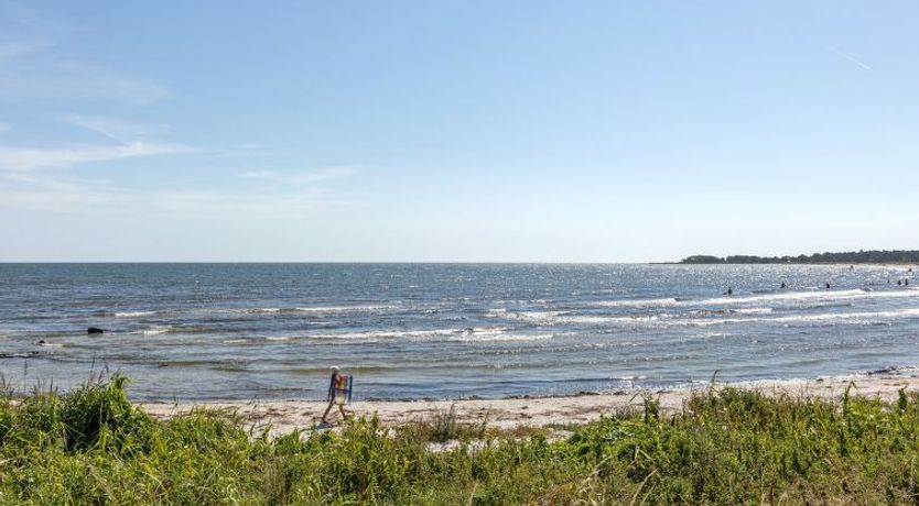 Photo of "Sami" - 200m from the sea